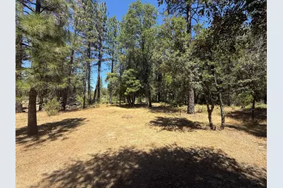 20710 Chalk Bluff Road, Grass Valley, CA 95945 - Photo 8