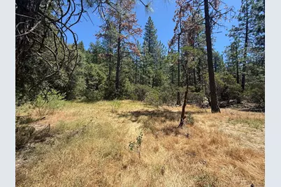20710 Chalk Bluff Road, Grass Valley, CA 95945 - Photo 10