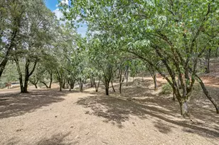 645 Ponderosa Way, Colfax, CA 95713 - Photo 56