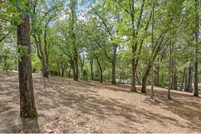 645 Ponderosa Way, Colfax, CA 95713 - Photo 58