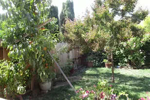 13425 Brookwood Way, Lathrop, CA 95330 - Photo 46