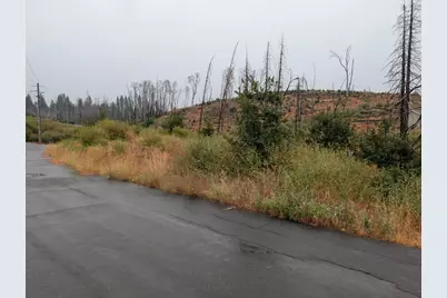 7290 Grizzly Creek Drive, Grizzly Flats, CA 95636 - Photo 10