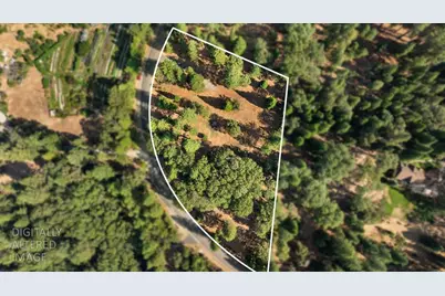 11094 Cement Hill Road, Nevada City, CA 95959 - Photo 16
