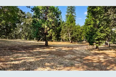 11094 Cement Hill Road, Nevada City, CA 95959 - Photo 8