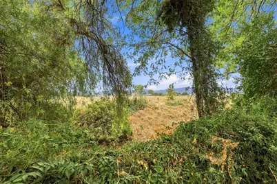 26843 Plainfield Street, Esparto, CA 95627 - Photo 36