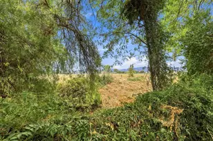 26843 Plainfield St, Esparto, CA 95627 - Photo 36