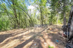Todd Valley Rd, Foresthill, CA 95631 - Photo 50