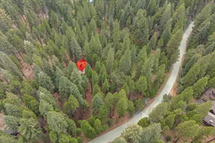 3131 Shoshone Dr, Camp Connell, CA 95223 - Photo 44