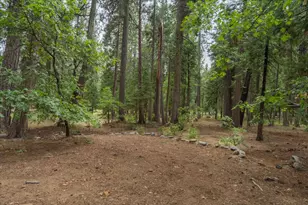 3131 Shoshone Dr, Camp Connell, CA 95223 - Photo 34