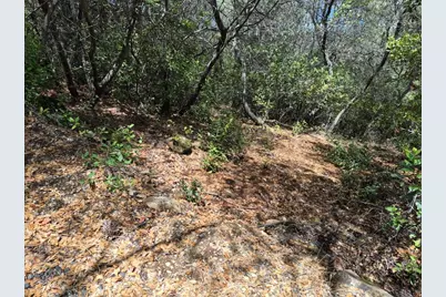 19606 Valley Vista Way, Penn Valley, CA 95946 - Photo 8