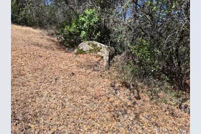 19606 Valley Vista Way, Penn Valley, CA 95946 - Photo 10