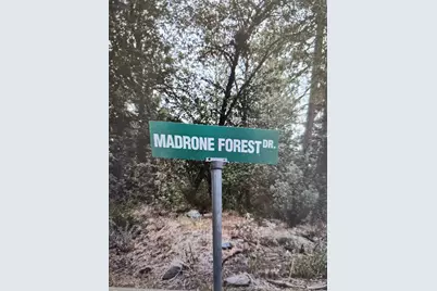 13117 Madrone Forest Drive, Nevada City, CA 95959 - Photo 2
