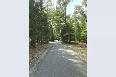 13117 Madrone Forest Drive, Nevada City, CA 95959 - Photo 10
