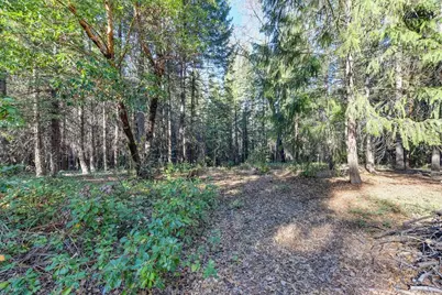 24825 Harrison Street, Foresthill, CA 95631 - Photo 6