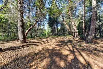 24825 Harrison Street, Foresthill, CA 95631 - Photo 4