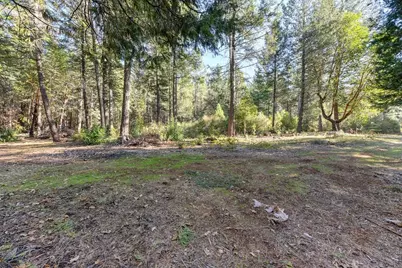 24825 Harrison Street, Foresthill, CA 95631 - Photo 10