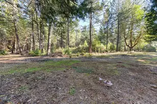 24825 Harrison St, Foresthill, CA 95631 - Photo 10