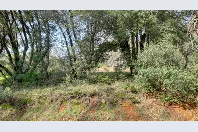 16202 Annie Drive, Grass Valley, CA 95949 - Photo 2