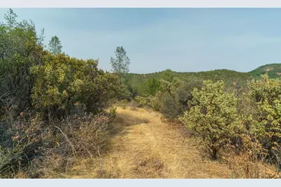 18527 Kentucky Ravine Road, Nevada City, CA 95959 - Photo 6
