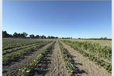 1065 Wilson Bend Road, Grimes, CA 95950 - Photo 8