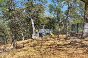 6161 Gallagher Rd, Pilot Hill, CA 95664 - Photo 46