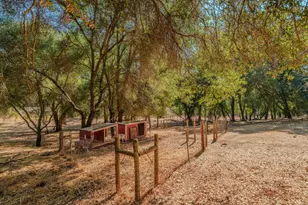 2988 Spring Hill Dr, San Andreas, CA 95249 - Photo 56