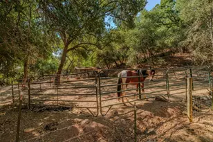 2988 Spring Hill Dr, San Andreas, CA 95249 - Photo 68