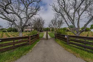10801 Shenandoah Rd, Plymouth, CA 95669 - Photo 44