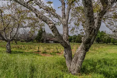 10801 Shenandoah Road, Plymouth, CA 95669 - Photo 36