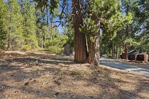 22987 N Tuolumne Rd, Twain Harte, CA 95383 - Photo 44