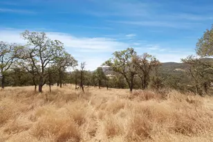 7425 Cincha St, Angels Camp, CA 95222 - Photo 1