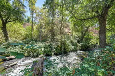 1478 Myrtle Street, Angels Camp, CA 95222 - Photo 60