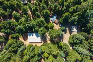 550 Caine Rd, Alta, CA 95701 - Photo 22