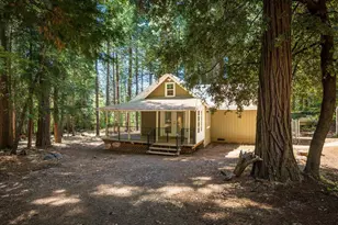 550 Caine Rd, Alta, CA 95701 - Photo 26