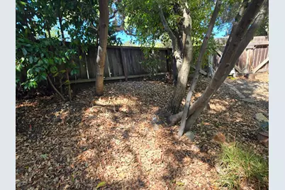 3213 Stanley Boulevard, Lafayette, CA 94549 - Photo 6