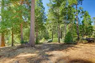 14696 Oak Ridge Rd, Nevada City, CA 95959 - Photo 86