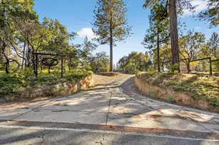 22080 Fiddletown Rd, Volcano, CA 95689 - Photo 2