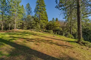 17630 Ridge Rd, Pine Grove, CA 95665 - Photo 50