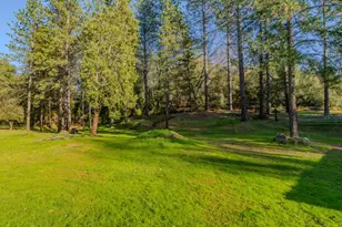 17630 Ridge Rd, Pine Grove, CA 95665 - Photo 62
