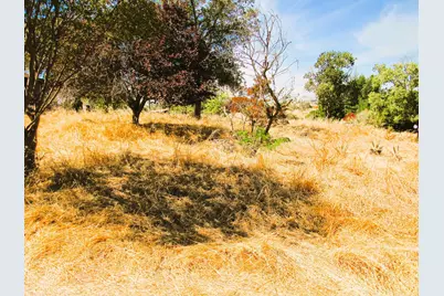 3390 Flint Trail, Ione, CA 95640 - Photo 14