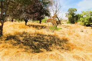 3390 Flint Trail, Ione, CA 95640 - Photo 14