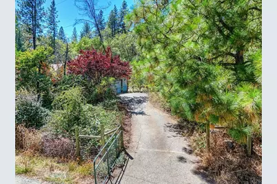 10520 Oak Springs Road, Penn Valley, CA 95946 - Photo 4