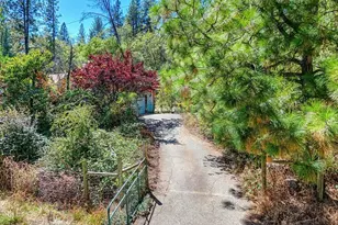 10520 Oak Springs Rd, Penn Valley, CA 95946 - Photo 4