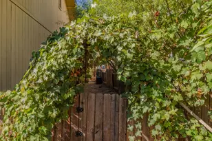 202 Westview Dr, Jackson, CA 95642 - Photo 48