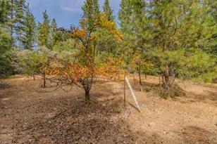 524 Ridge Rd, Rail Road Flat, CA 95245 - Photo 6