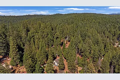 6295 Dolly Varden Lane, Pollock Pines, CA 95726 - Photo 40