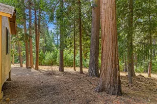 3719 Garnet Rd, Pollock Pines, CA 95726 - Photo 50
