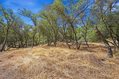 17428 Brewer Road, Grass Valley, CA 95949 - Photo 6