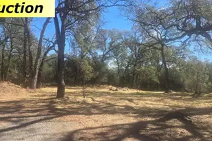 10486 To Hell and Back Ln, Rough and Ready, CA 95975 - Photo 58