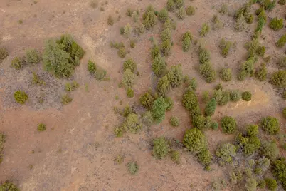 0 0, Susanville, CA 96130 - Photo 4